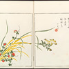 Minchô shiken