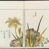 Minchô shiken