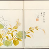 Minchô shiken