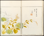 Minchô shiken