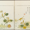 Minchô shiken