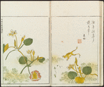 Minchô shiken