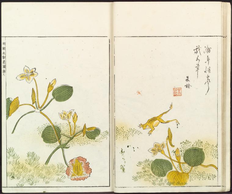 Sorimachi 409 - NYPL Digital Collections