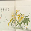 Minchô shiken