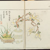 Minchô shiken