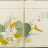 Minchô shiken