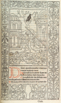 Dilexi quonia exaudiet dominus...