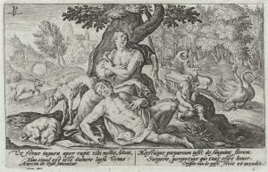 Metamorphoseon Ouidianarum typi aliquot : 
