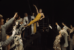 Carole Shelley