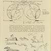 Ground plan and properties, sketch for Lady in the Dark