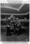 Houdini's vanishing elephant