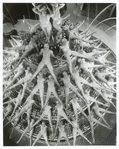 Scene from the motion picture Footlight Parade