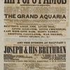 Programme for Barnum's Museum promoting "The Living Hippopatamus".