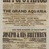 Programme for Barnum's Museum promoting "The Living Hippopatamus".