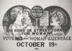 The home or street corner for woman? Vote no on woman suffrage