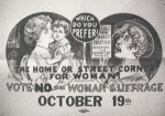 Which do you prefer? The home or street corner for woman?  Vote no on woman suffrage October 19th