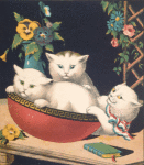 Tit, Tiny, and Tittens, three white kittens, in a bowl.