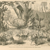 Théâtre de l'Opéra, Le Cheval de bronze