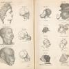 Scientific Charts of Mankind.