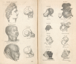 Scientific Charts of Mankind.