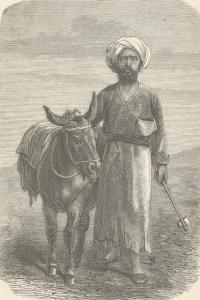 Centralasien. Landschaften und völker in Kaschgar, Turkestan, Kaschmir, und Tibet. Unter berücksichtigung der jüngsten ereignisse in Afghanistan und von Russlands bestrebungen und kulturberuf.