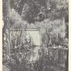 Estate of Mr. John L. Severance, Pasadena
