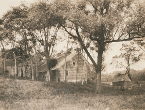 The Eugene L. Armbruster collection of Long Island photographic views