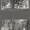 Page from the Belnoir Island album of photographs, 1906-1908