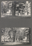 Page from the Belnoir Island album of photographs, 1906-1908