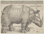 The Rhinoceros