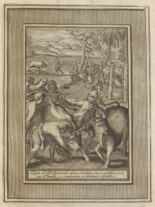 Collection de estampas Que representan los principales pasos, echos, y prodigios del B.to. Frai Sebastian de Aparizio
