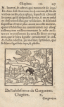 Chapitre IX.