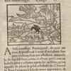 Chapitre V.