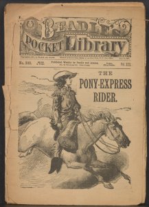 Beadle's Pocket Library