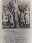 Rubin Stacey, lynched victim, hanging from a tree