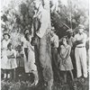 Rubin Stacey, lynched victim, hanging from a tree