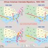 African American interstate migrations, 1955-1995