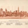 Sky-line of New York City
