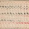 Charts of the thermometer, wind, rain and barometer on the morning and afternoon of each day of December 1861