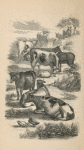Frontispiece