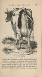 A good milch cow