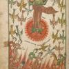 Old believers manuscript ...
