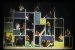 Cast performs "The Telephone Hour" in Bye Bye Birdie