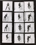 Paul Morrissey