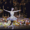 Ballerina Cynthia Gregory standing in front of flowers, balloons, and other dancers on stage with outstretched arms ready to take bow during American Ballet Theater performace honoring her 20 years with American Ballet Theater company.
