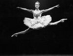 Ballet dancer Sylvie Guillem in scene from the ballet "Swan Lake" as performed with Paris Opera Ballet Company at the Metropolitan Opera.