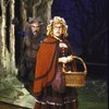 Actors Tracy Katz & Chuck Wagner in a scene fr. the National Tour of the Broadway musical "Into the Woods."