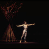 New York City Ballet production of "Watermill" with Edward Villella,  choreography by Jerome Robbins (New York)