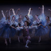 New York City Ballet production of "Donizetti Variations" with Ib Andersen, choreography by George Balanchine (New York)