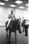 New York City Ballet - rehearsal of "Don Quixote" with George Balanchine entering on horse, choreography by George Balanchine (New York)